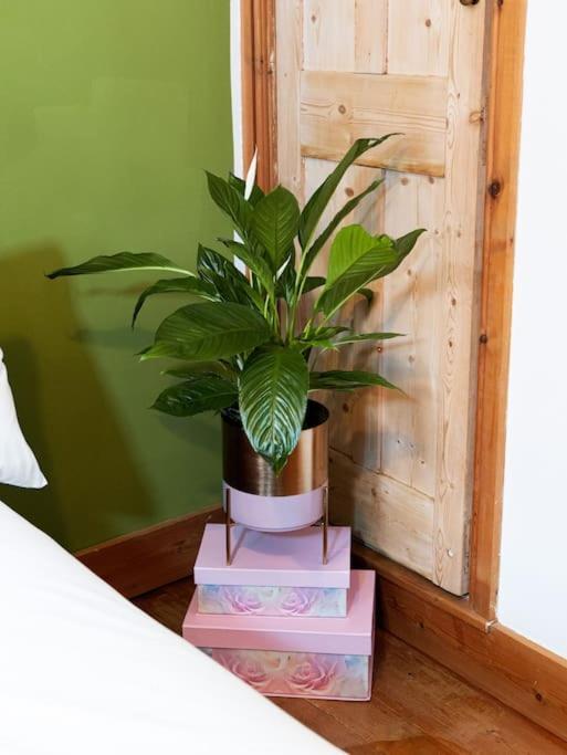 Cosy Cottage In Central Reading Free Parking & Fast Wifi Eksteriør bilde
